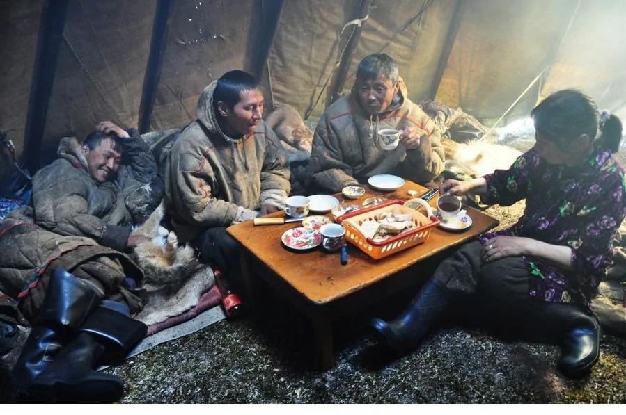 揭秘涅涅茨人独特生活:生吃鹿肉四处迁徙