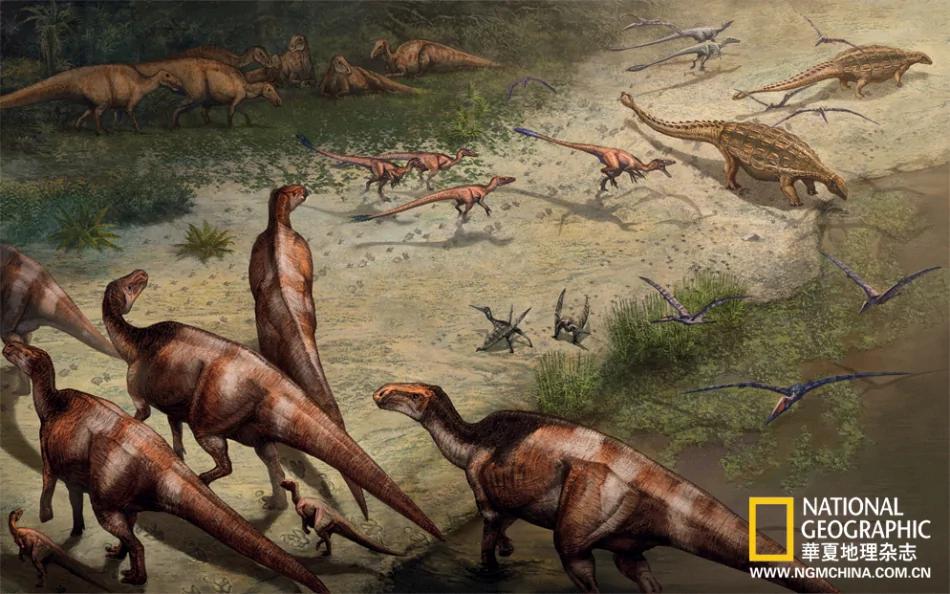 绝壁上的龙迹：重庆綦江莲花保寨恐龙大发现(高清组图)