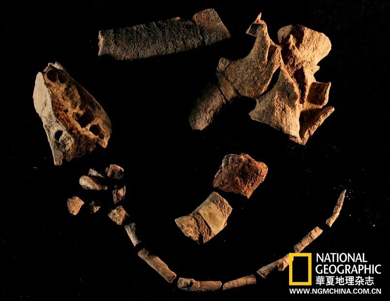 绝壁上的龙迹：重庆綦江莲花保寨恐龙大发现(高清组图)