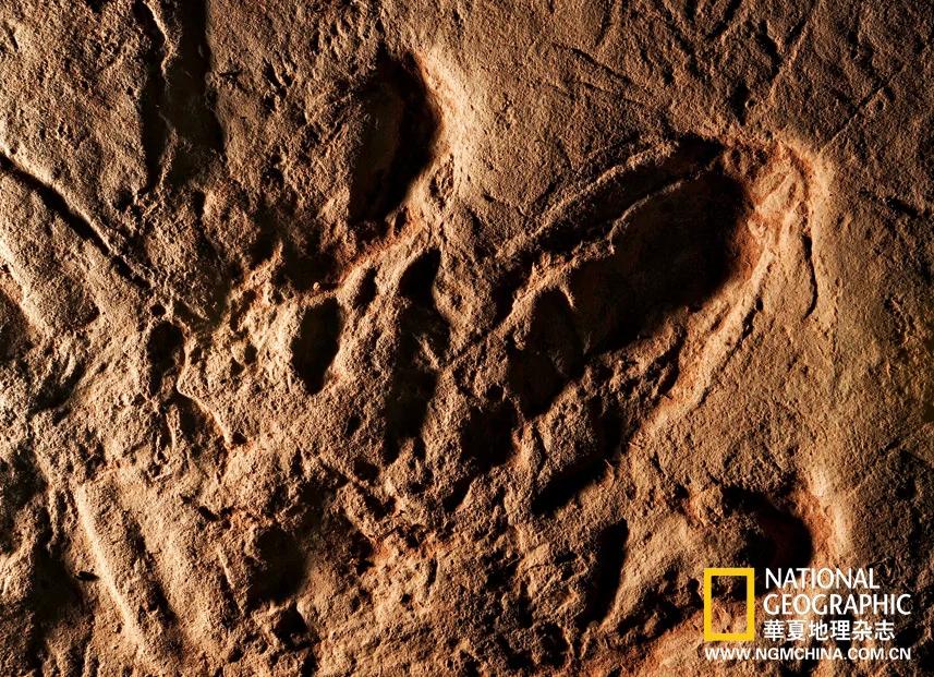 绝壁上的龙迹：重庆綦江莲花保寨恐龙大发现(高清组图)