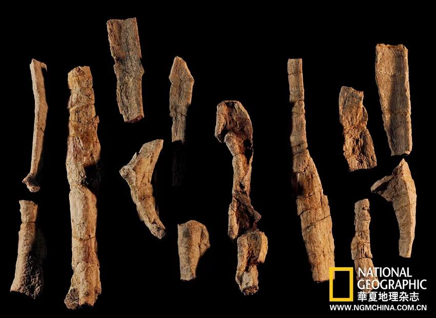 绝壁上的龙迹：重庆綦江莲花保寨恐龙大发现(高清组图)