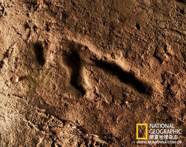 绝壁上的龙迹：重庆綦江莲花保寨恐龙大发现(高清组图)