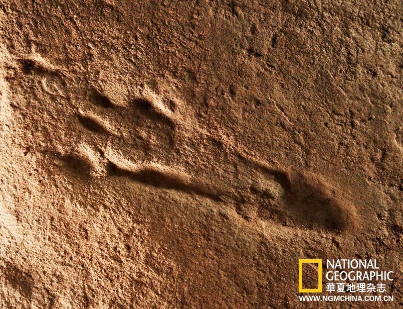 绝壁上的龙迹：重庆綦江莲花保寨恐龙大发现(高清组图)