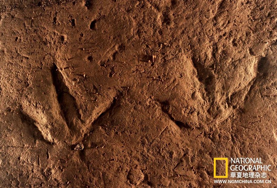 绝壁上的龙迹：重庆綦江莲花保寨恐龙大发现(高清组图)