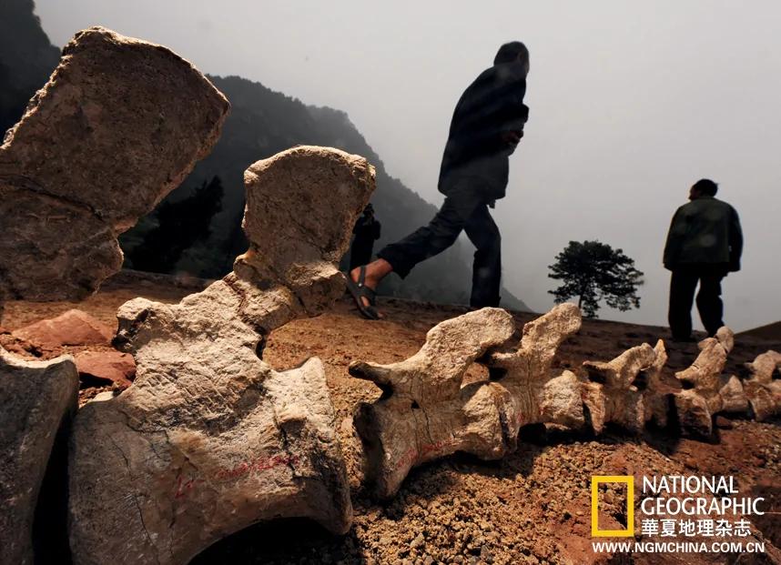 绝壁上的龙迹：重庆綦江莲花保寨恐龙大发现(高清组图)