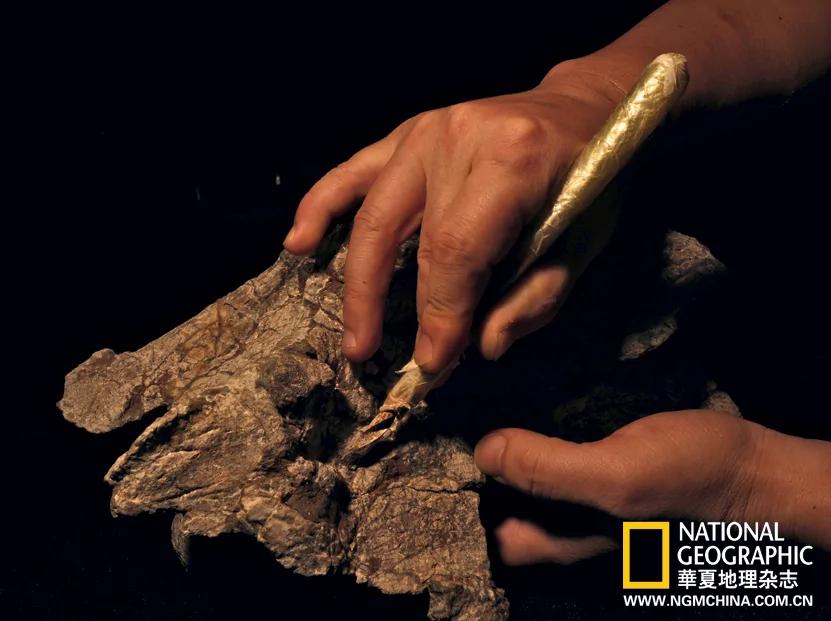 绝壁上的龙迹：重庆綦江莲花保寨恐龙大发现(高清组图)