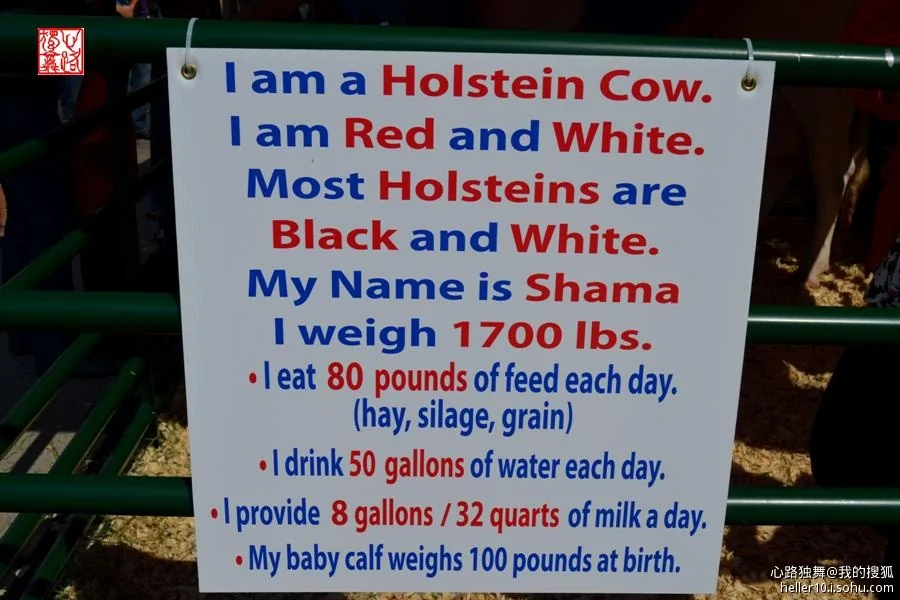 美國人怎么喝牛奶