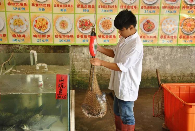 在顺德品尝农家花碟大盘鱼:四位壮汉抬上桌 高清