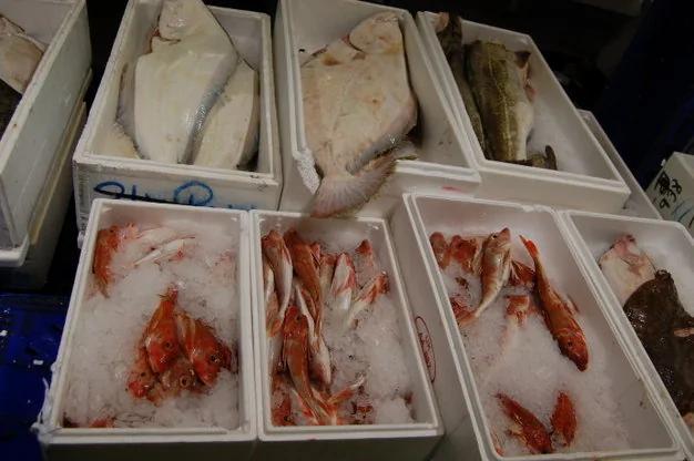 真生猛!游客实拍英国最大的海鲜市场