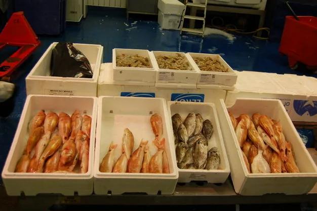 真生猛!游客实拍英国最大的海鲜市场