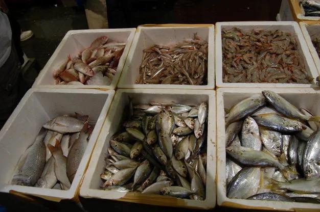 真生猛!游客实拍英国最大的海鲜市场
