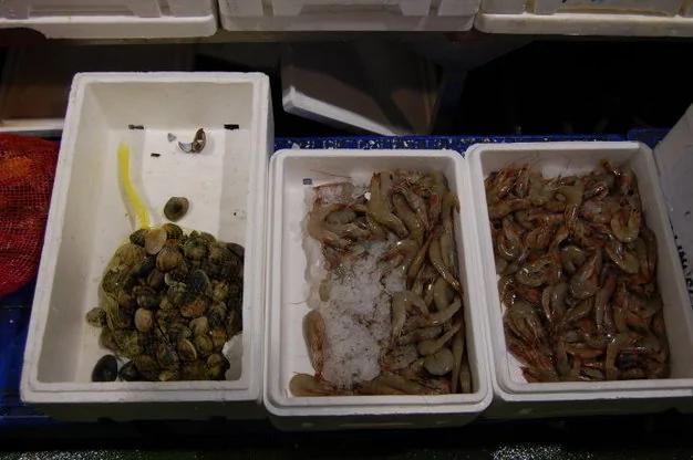 真生猛!游客实拍英国最大的海鲜市场