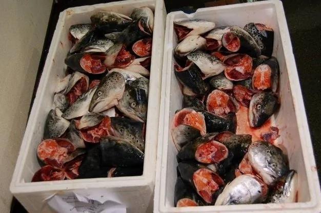 真生猛!游客实拍英国最大的海鲜市场