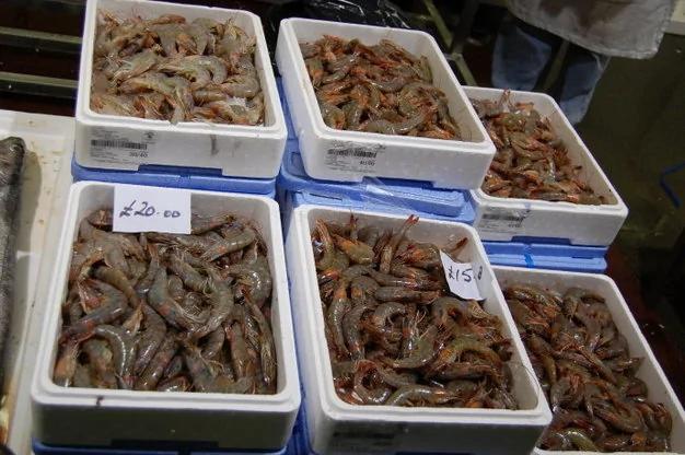 真生猛!游客实拍英国最大的海鲜市场