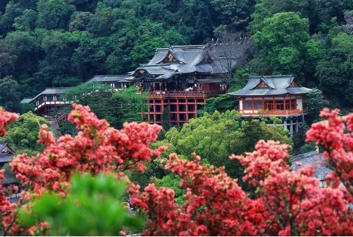震撼心靈的美——日本佐賀旅遊