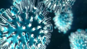 諾華製藥公司公佈的流感病毒圖片