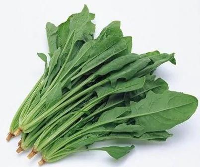 逆转时间的顶级抗衰老食物