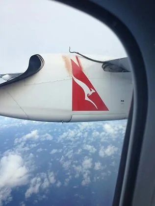 澳洲:高空中的飛機機翼驚現蟒蛇猛拍機身血跡斑斑(組圖)