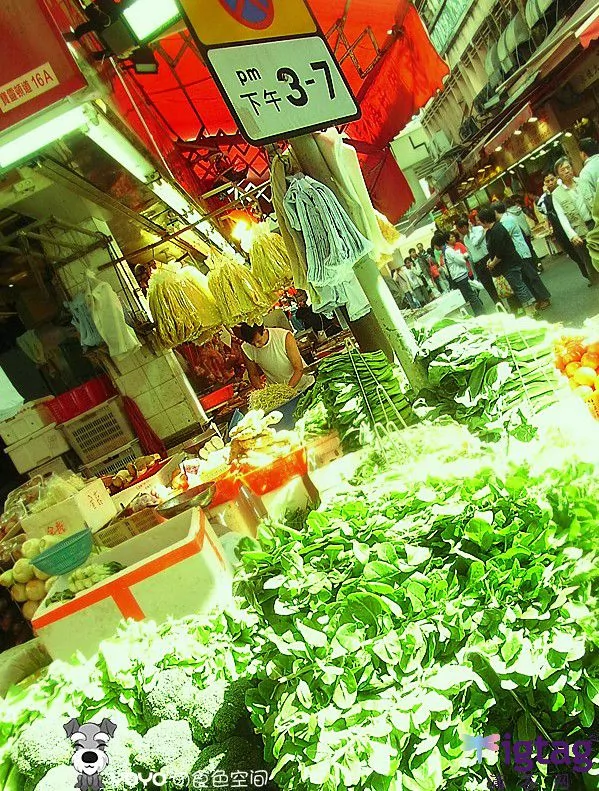 逛逛香港菜市场感受香港平民化的市井生活