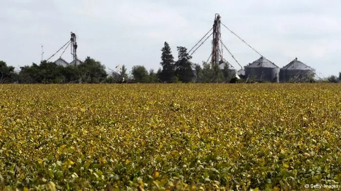 This file picture shows a field of transgenic soy near Santa Fe city, some500 Km northwest of Buenos Aires, Argentina, on April10,2012. The first trial in Argentina against agro producers for the use of agrochemicals is underway in Cordoba, which are considered to be the cause of malformations in infants, as well as numerous cases of cancer. The courts will hear the speech by the prosecution and defense on August7,2012, and are expected to deliver their verdict the following week. AFP PHOTO/ Juan Mabromata(Photo credit should read JUAN MABROMATA/AFP/GettyImages)