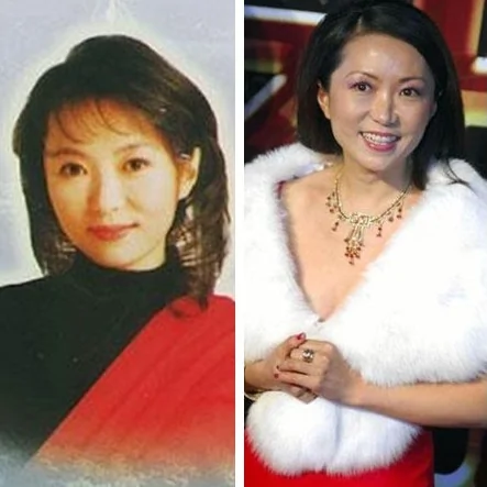 那些年楊鈺瑩毛寧等90年代大陸紅歌星今昔對比(組圖)