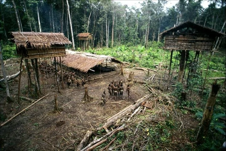 探訪世界唯一居住樹屋部落：房屋離地可達50米(高清組圖)