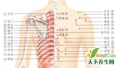人的寿命极限是多少岁?