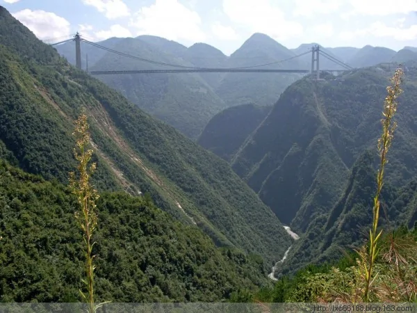 全球最吓人的十五座桥