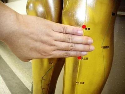 足三里穴是防感冒重要保健穴