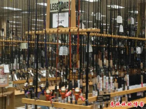 钓鱼不吃鱼,英国鲤鱼"胖妇人"被钓200次