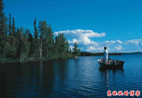钓鱼不吃鱼,英国鲤鱼"胖妇人"被钓200次