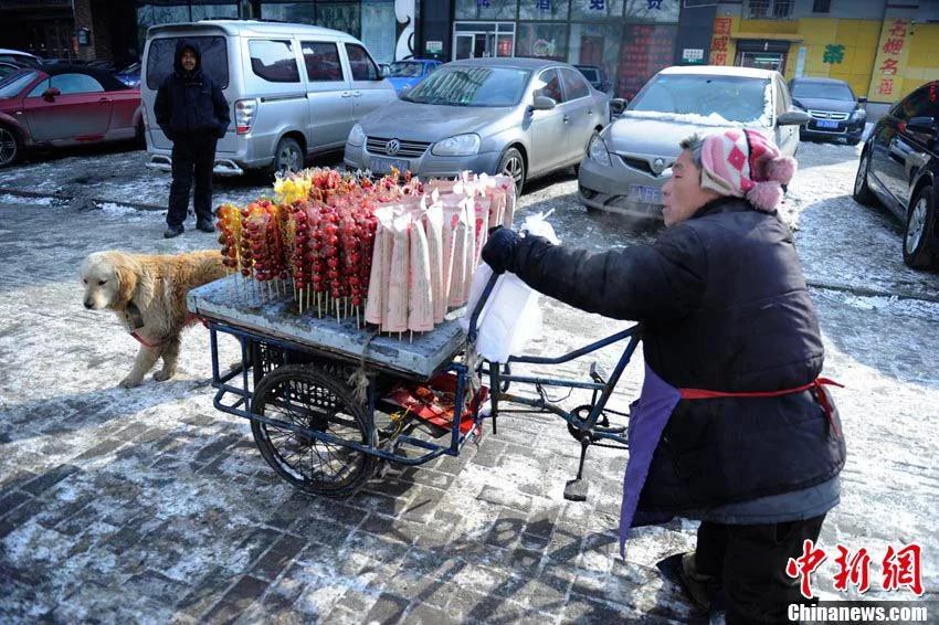 小狗对身残主人不离不弃 帮助拉车卖冰糖葫芦