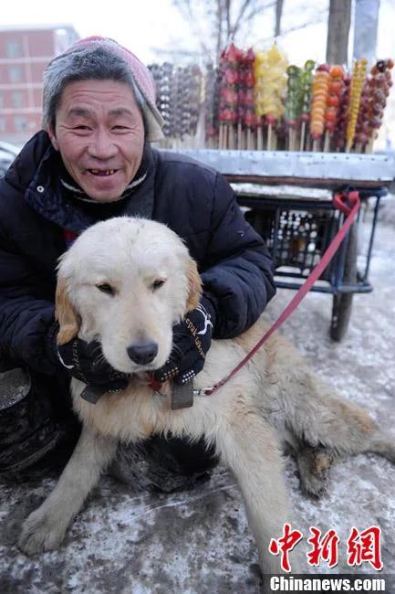 小狗对身残主人不离不弃 帮助拉车卖冰糖葫芦