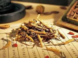 跟中医学养生 健康过好年
