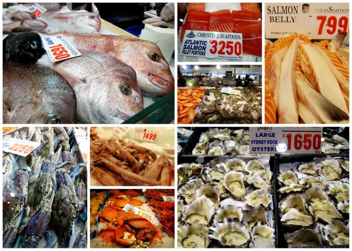 澳洲海鲜市场龙虾多少钱一只