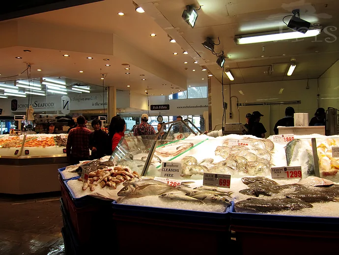 澳洲海鲜市场龙虾多少钱一只