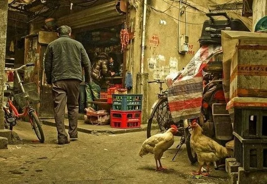 實拍最真實的上海市井生活：破敗景象仿佛穿梭回30年代