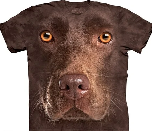 3D動物T恤栩栩如生狗狗、海象呼之欲出（組圖）