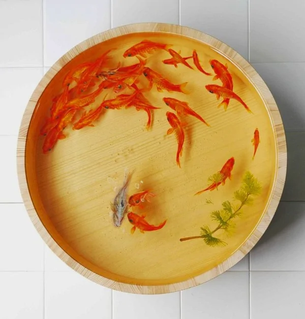 超越3D的金魚工藝繪畫