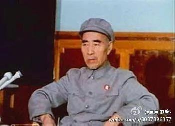 林彪患有精神病?!曾想自杀