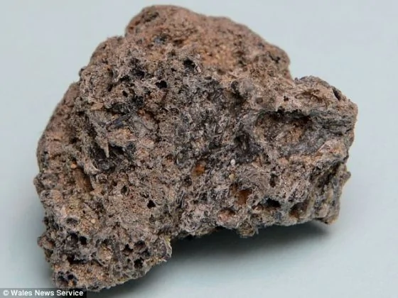 科学家声称在陨石碎片中发现外星生物化石(组图)