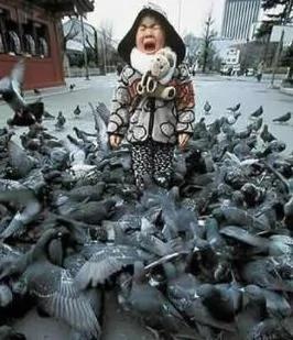 爆笑！人生的N个第一次