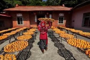 “旅行台湾最美瞬间”百余感动照片获选