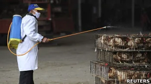 安徽合肥某家禽市场内防疫人员喷洒消毒药水（5/4/2013）