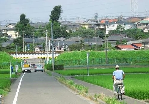 讓人傻眼的日本農村