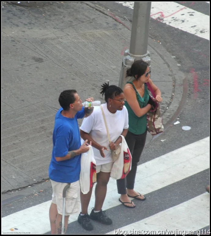 在美国纽约行人怎么过马路