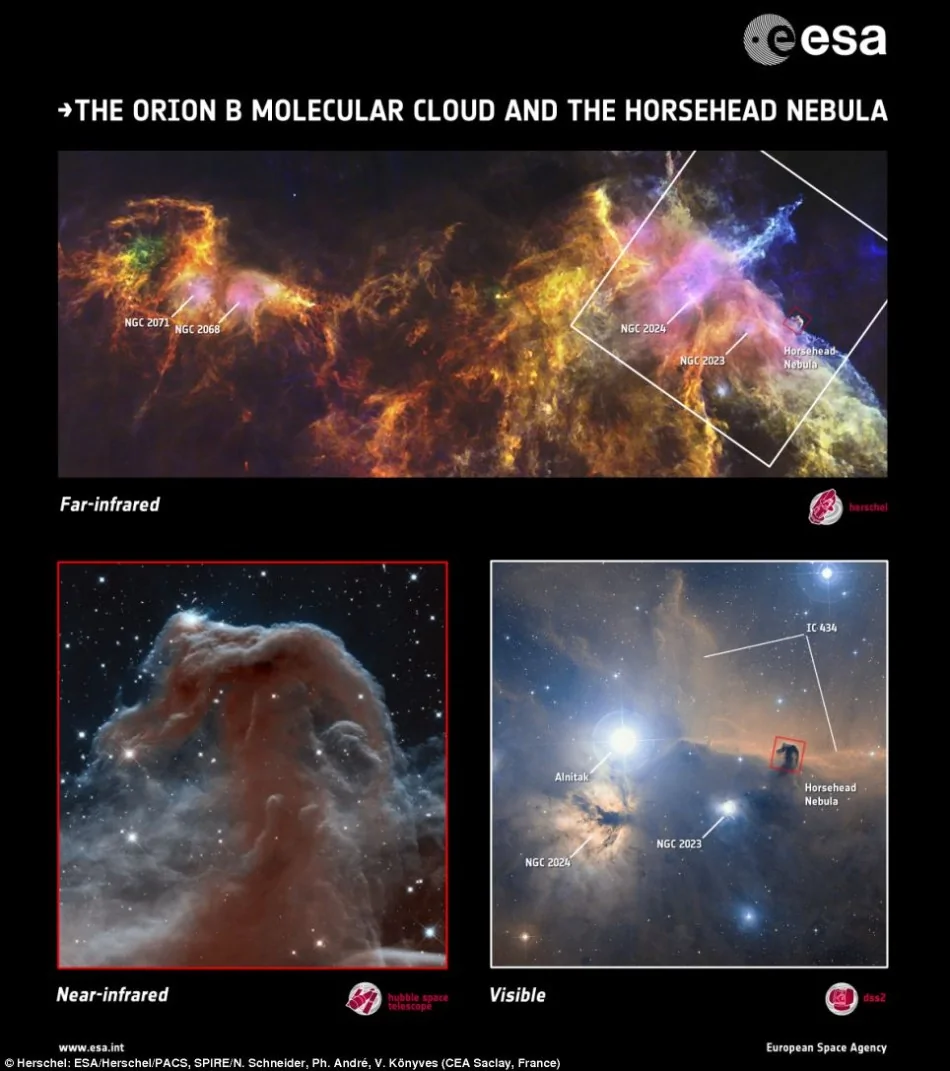 哈勃望遠鏡捕捉到馬頭星雲最詳細圖幻美絢麗 阿波羅新聞網
