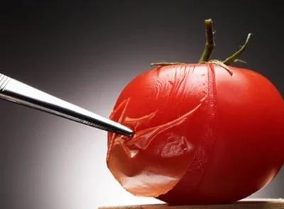 虾壳、粗梗、蔬果皮营养效果胜于良药