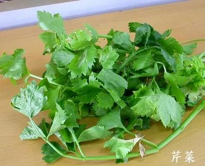 虾壳、粗梗、蔬果皮营养效果胜于良药