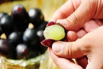 虾壳、粗梗、蔬果皮营养效果胜于良药